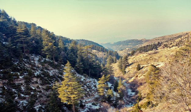 Why Choose Natural Products: Benefits for Your Health, Skincare, and the Environment - The Earthen Hollow